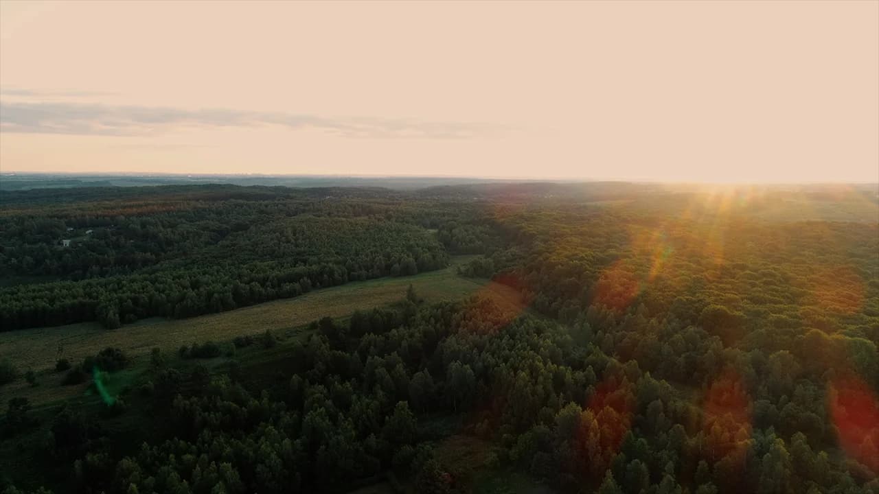 Аерофото — поля і ліс над локацією Віняв