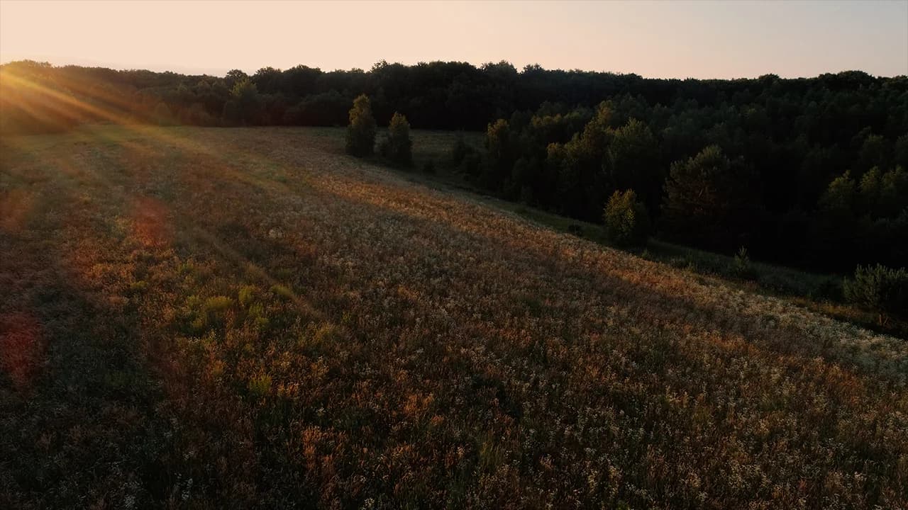 Долина Віняв на світанку