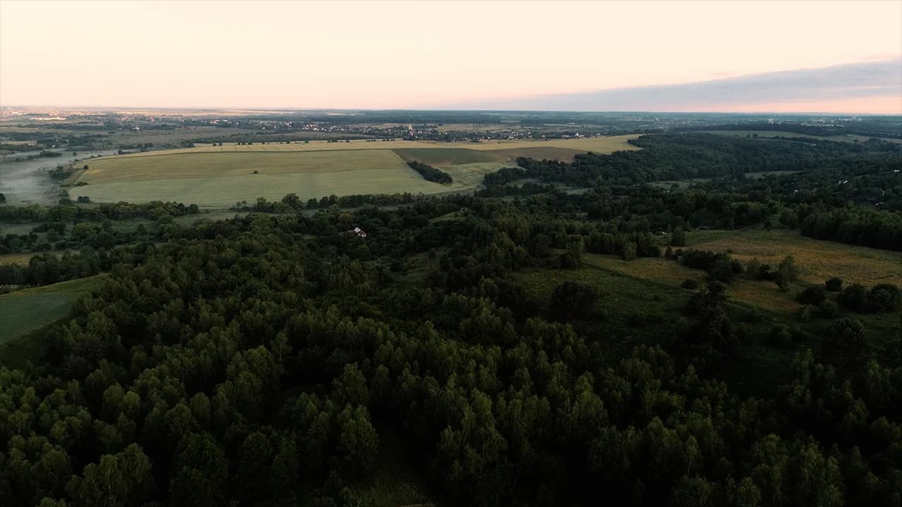 Захід сонця над лісом і долиною Віняв