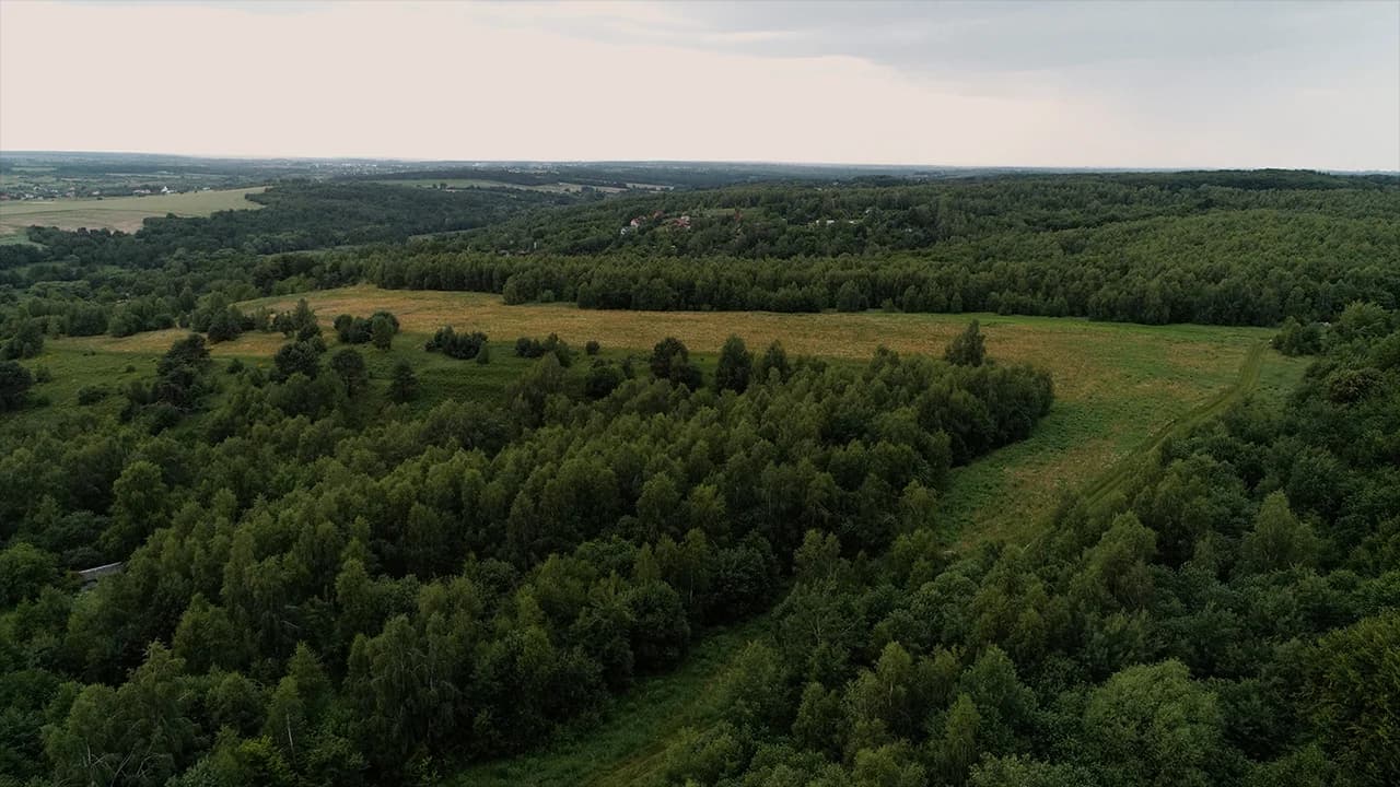 Аерофото локації Віняв — поля і ліс